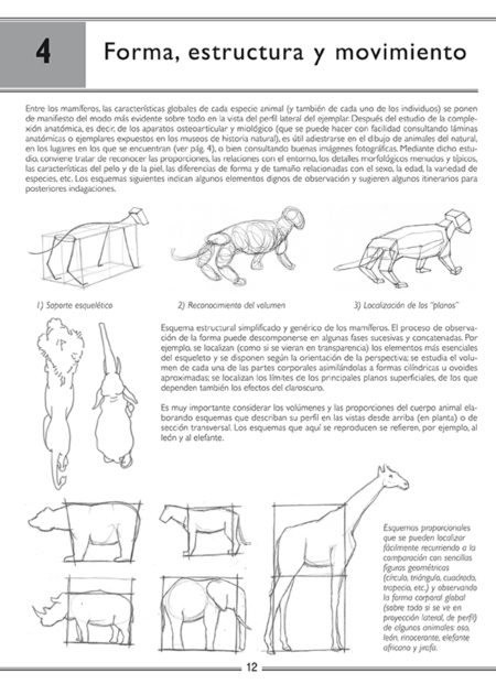 Animales salvajes. Cómo dibujar elefantes, tigres, leones y otros animales - Imagen 4