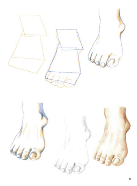 Cómo dibujar manos y pies en sencillos pasos - Imagen 3