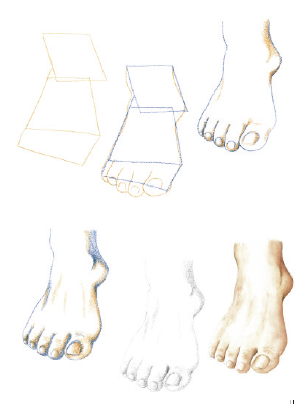 3-Como-dibujar-manos-y-pies-en-sencillos-pasos-978-84-9874-566-5