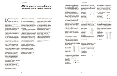 De la observación al dibujo - Imagen 3