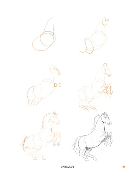 Dibuja 200 animales - Imagen 3