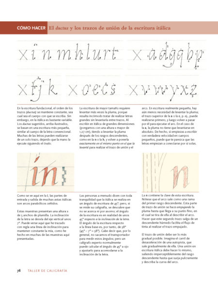 Taller de caligrafía. La introducción definitiva al arte de la escritura - Imagen 3