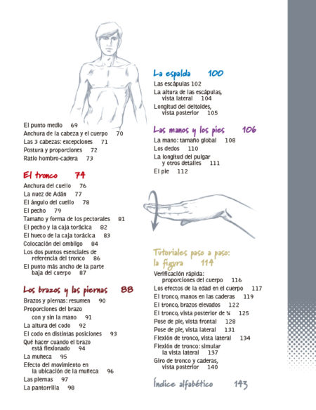 ¡Figúrate! Las proporciones del cuerpo humano - Imagen 3