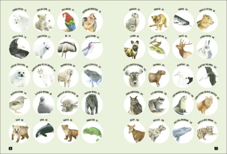 Cómo dibujar 100 animales - Imagen 4
