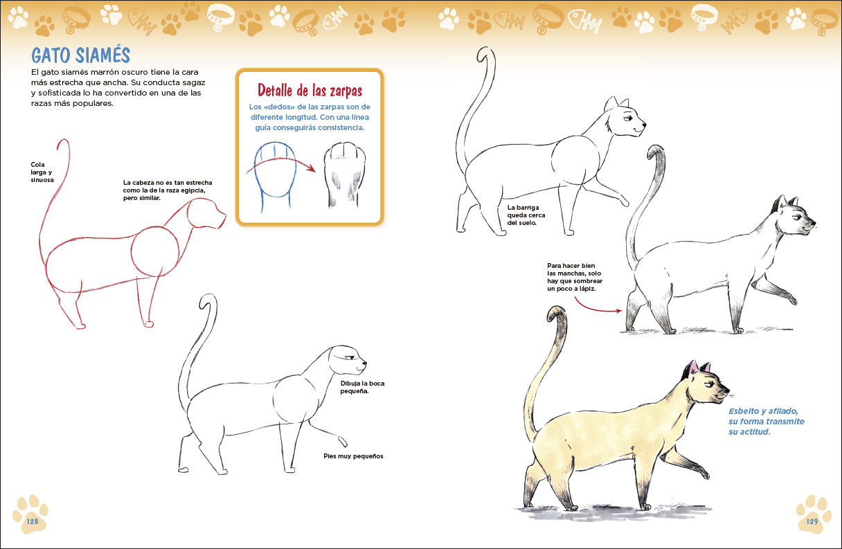 4-Como-dibujar-perros-y-gatos-a-partir-de-formas-basicas-978-84-9874-641-9