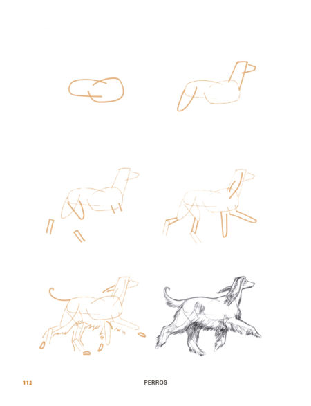 Dibuja 200 animales - Imagen 6