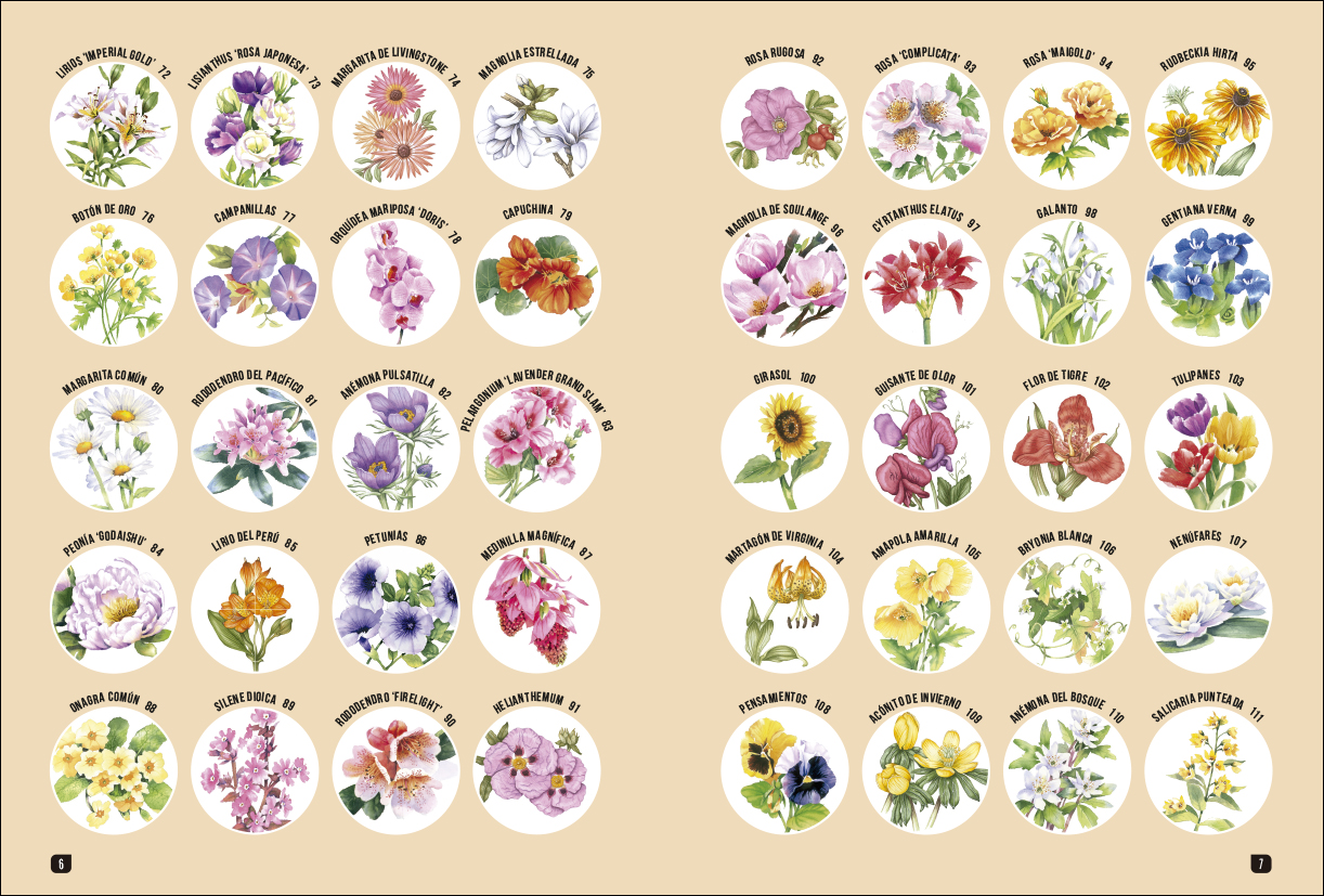 4-como-dibujar-100-flores-978-84-9874-708-9