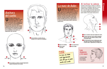 ¡Figúrate! Las proporciones del cuerpo humano - Imagen 4