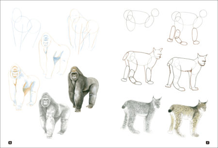 Cómo dibujar 100 animales - Imagen 5