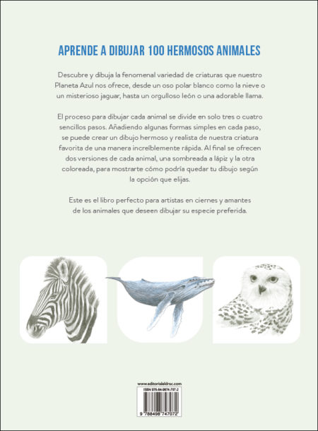 Cómo dibujar 100 animales - Imagen 6