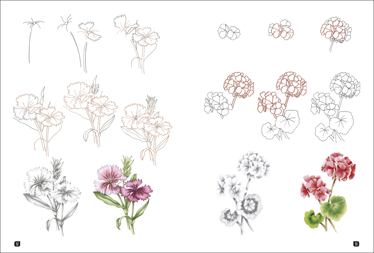 6-como-dibujar-100-flores-978-84-9874-708-9